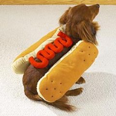 Disfraz de Hot-dog