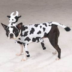 Disfraz de vaca
