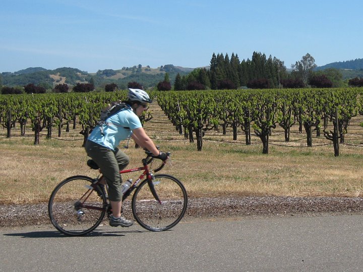 [Wine+Road+Cycling_21+zoom.jpg]