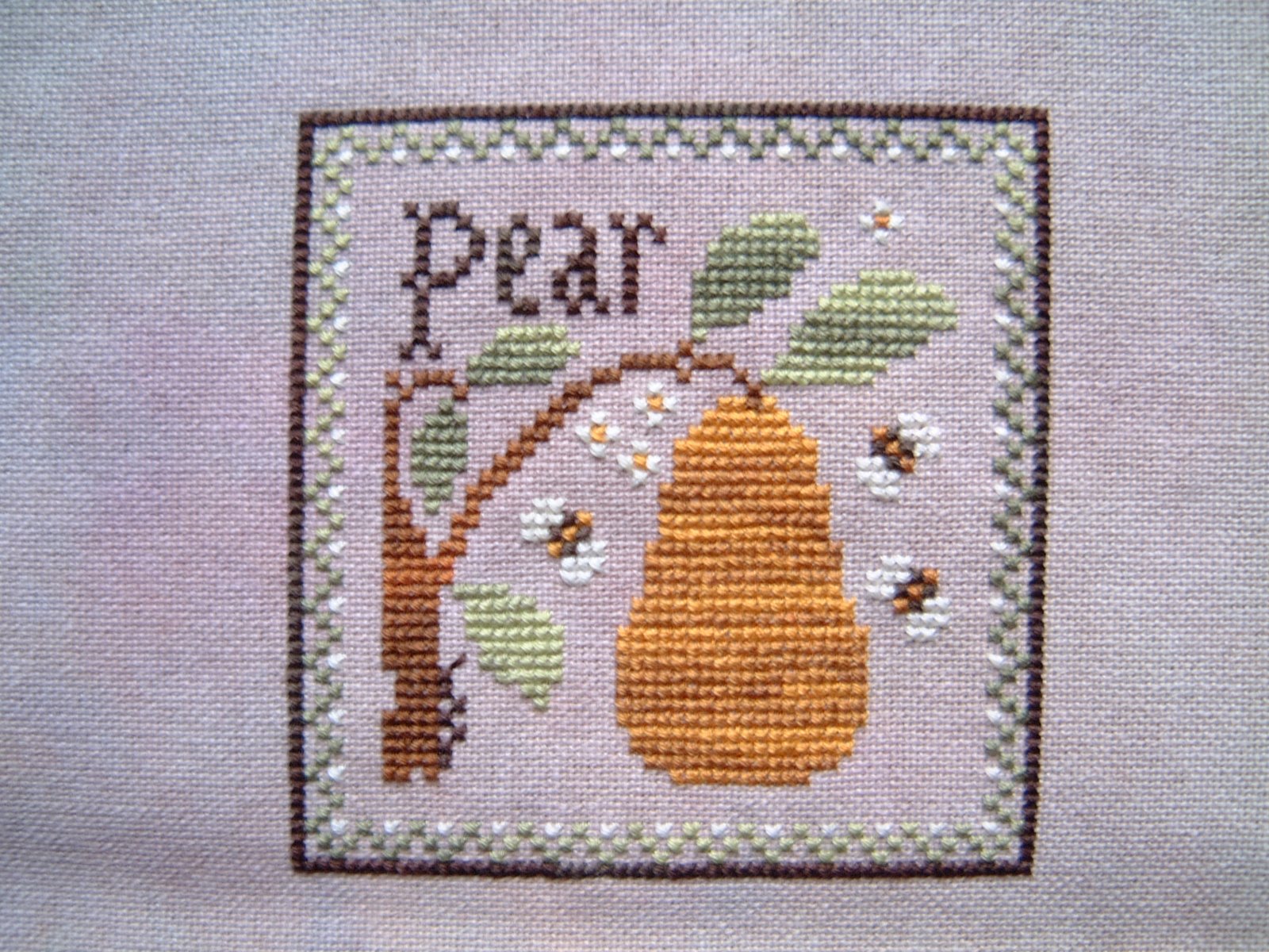 [Pear.JPG]