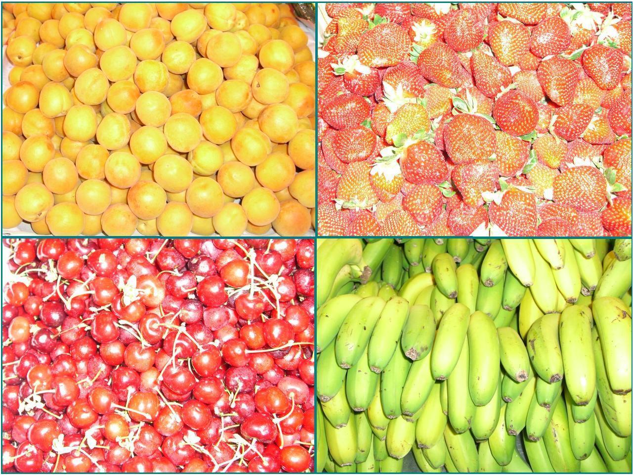 [Fruites.JPG]