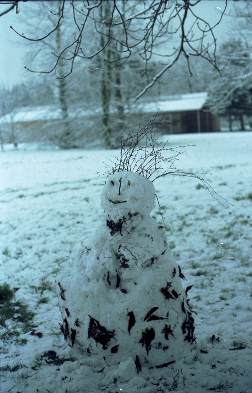 [Snowman+1.jpg]