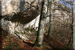 Túnel en la roca