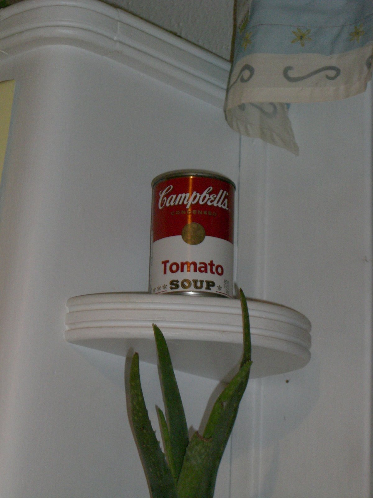 [Sopa+de+tomate+Campbell.JPG]