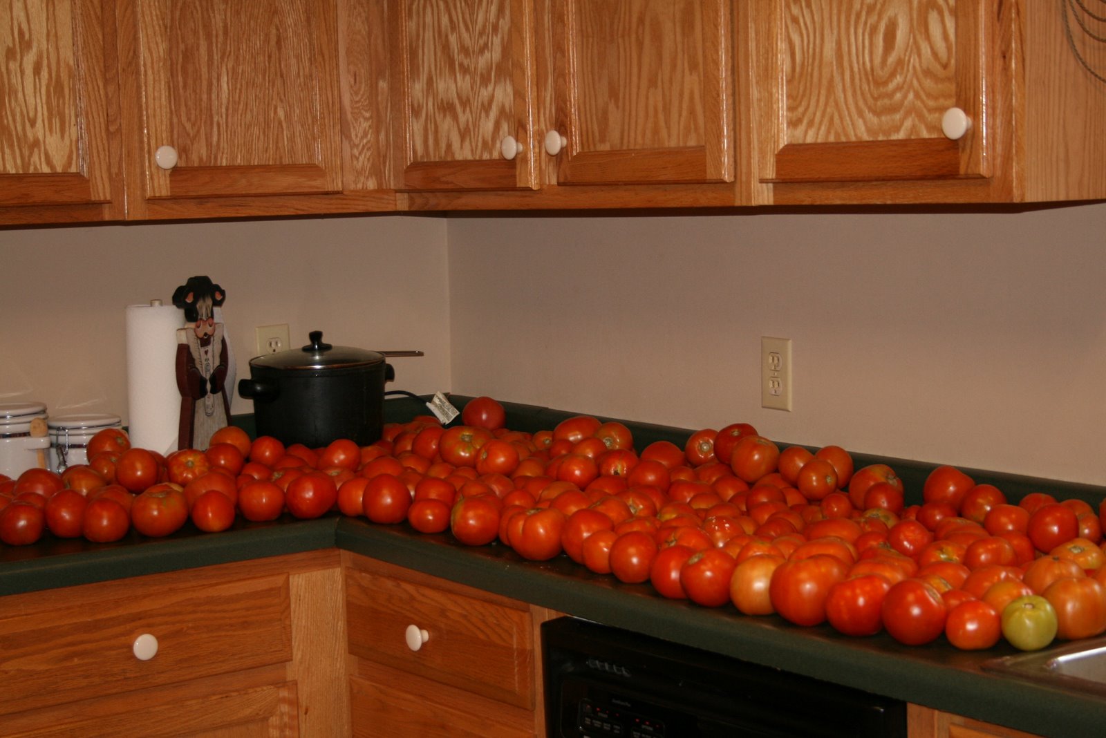 [Canning+tomatoes+001.jpg]