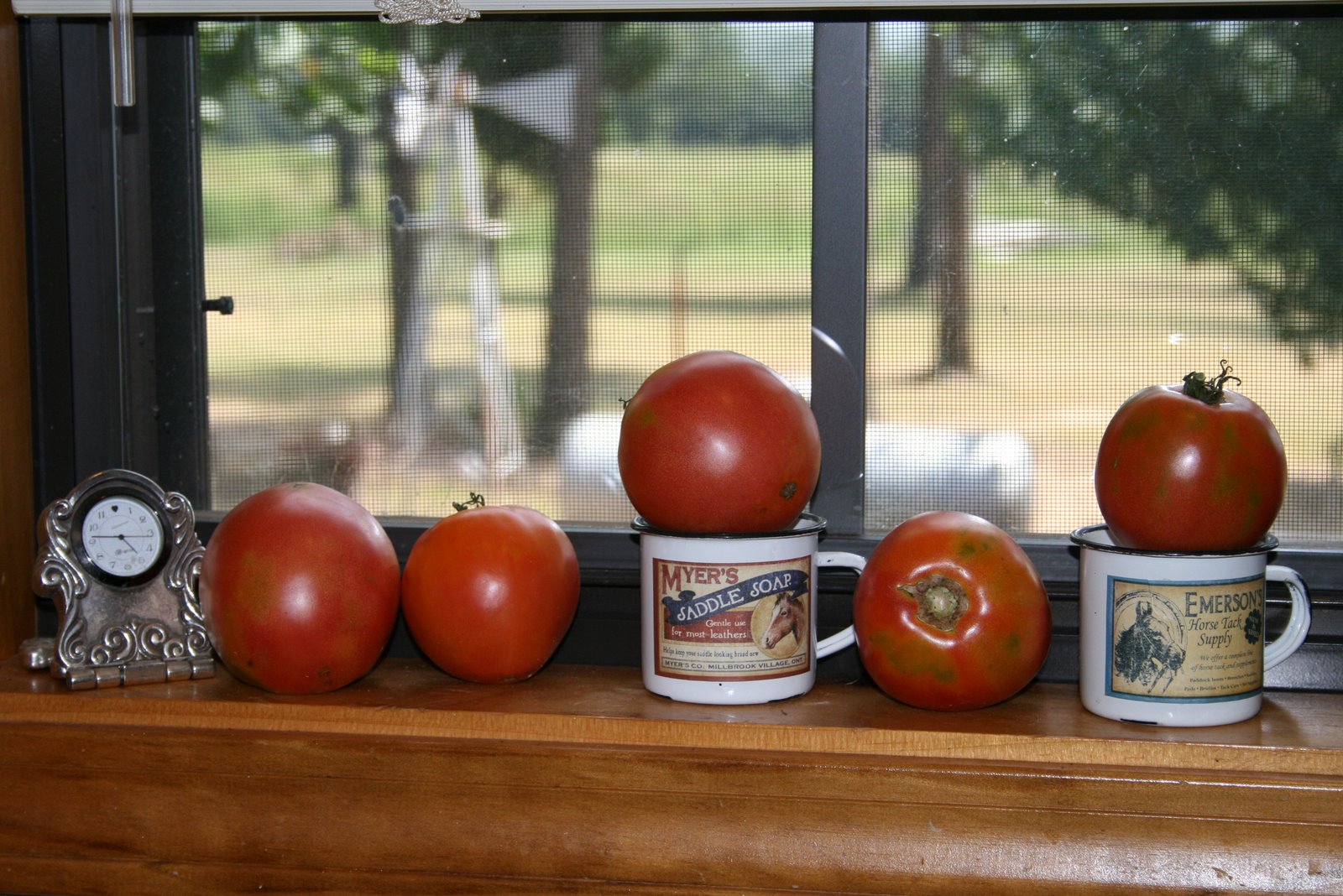 [Canning+tomatoes+003.jpg]