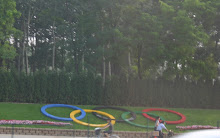 Olympic rings near the airport