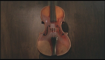 [violin.jpg]