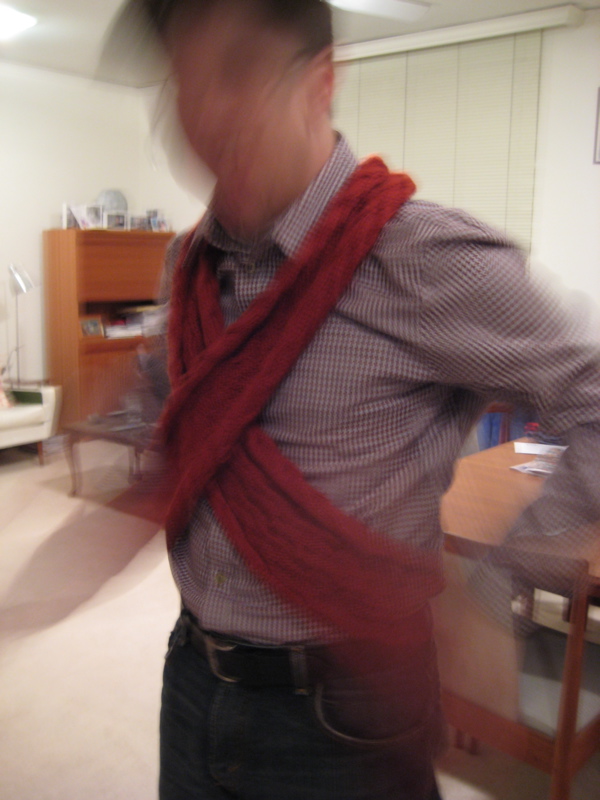 [travelling+scarf+blur.jpg]
