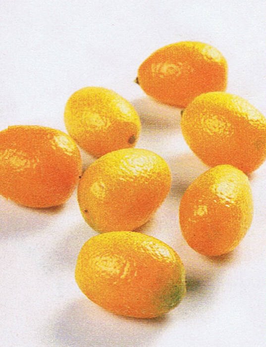 [kumquat.jpg]