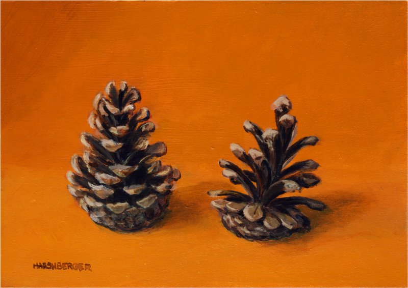 [pinecones.jpg]
