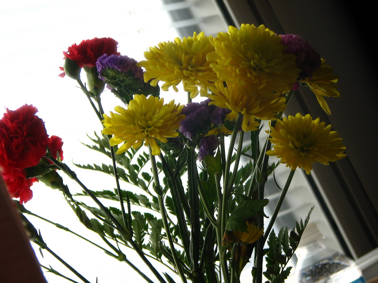 [flowers2.JPG]