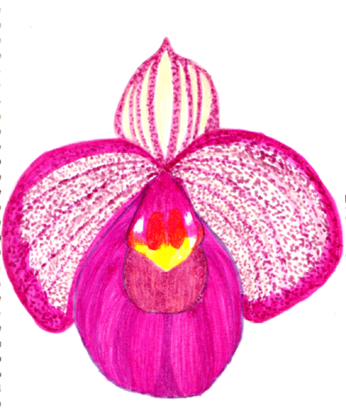 [Purple-orchid-FC-markers.gif]