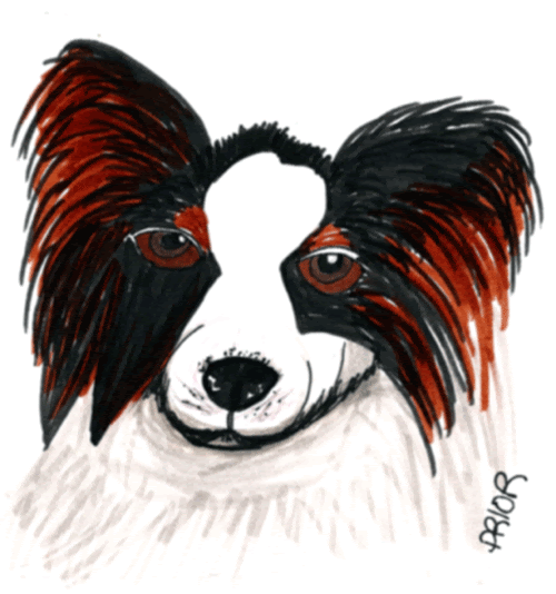 [Papillon-puppy-2-markers-5-.gif]
