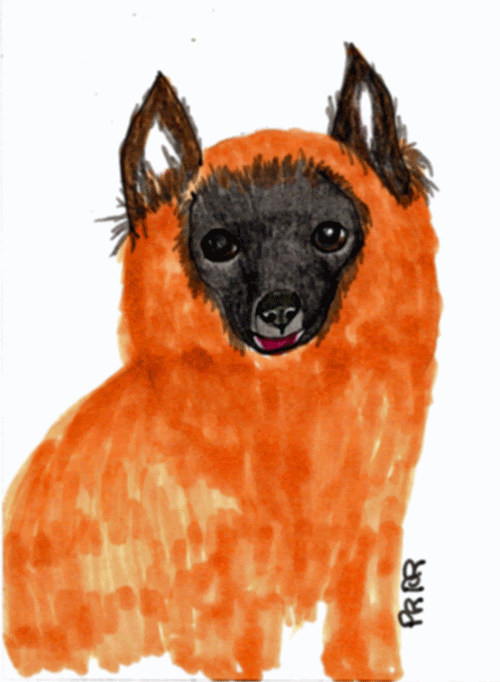 [herding-puppy-markers-5x5.gif]