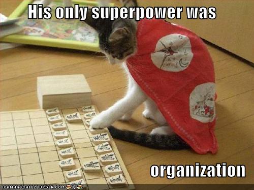 [funny-pictures-organization-superhero-cat.jpg]