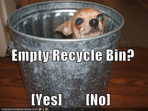 [empy-recycle-bin.jpg]