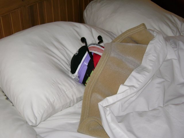 [Gary+sleeping+in+hotel+in+Tallahassee.jpg]