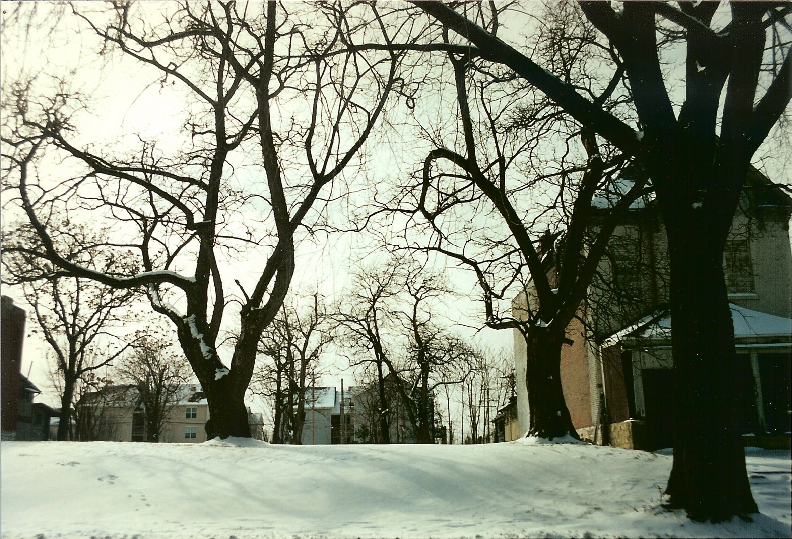 [4064washington+winter+1994-95.jpg]