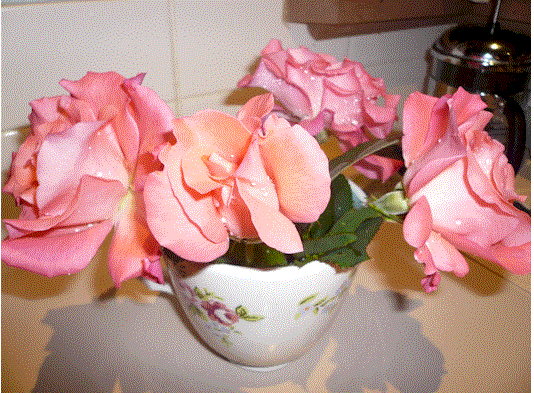 [rose+vase.gif]