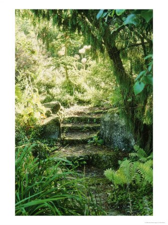 [GPBO05-00003381-001~Moss-Covered-Stone-Steps-Through-Shady-Overgrown-Garden-Autumn-Sherborne-Garden-Somerset-Posters.jpg]