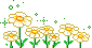 [daisies2.gif]