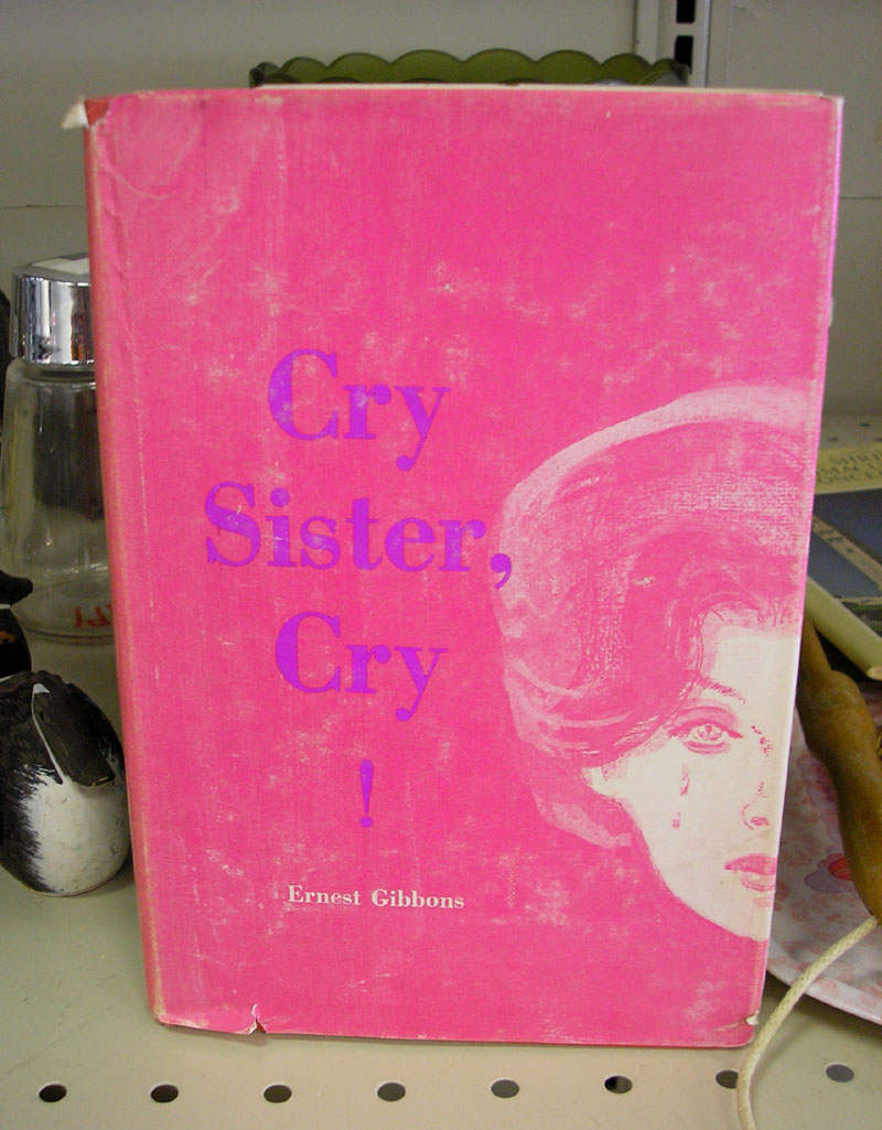 [book+cry+sister+cry+-small.JPG]