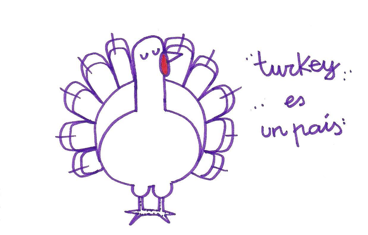 [turkey.jpg]
