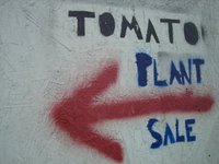 [Tomato+Sale+Sign.jpg]
