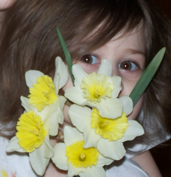 [ana+peek+daffodils.jpg]