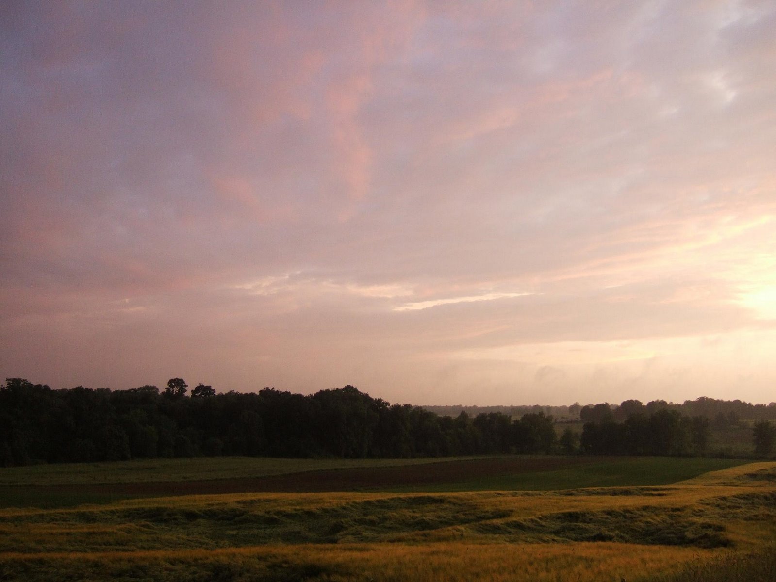 [2_tinted_fields_and_sky_in_june_gloaming.JPG]