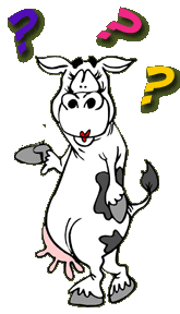 [cow-cartoon.gif]