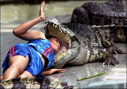 [crocodile-woman-head.jpg]