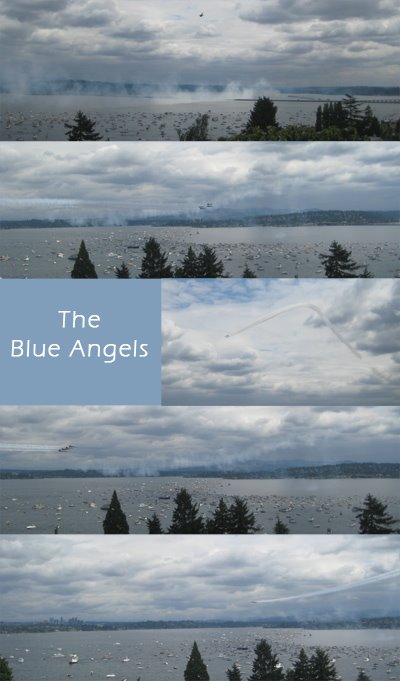 [blue_angels.jpg]