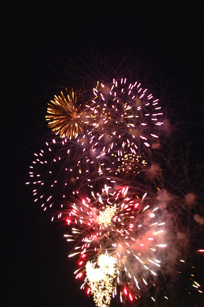 [11_07_66---Fireworks_web.jpg]