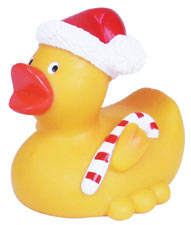 [christmas_duck.jpg]