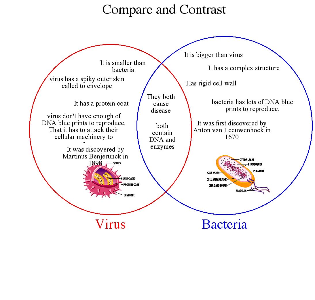 [virus_and_bacteria.jpg]