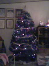[Christmas+tree+2007+1.jpg]