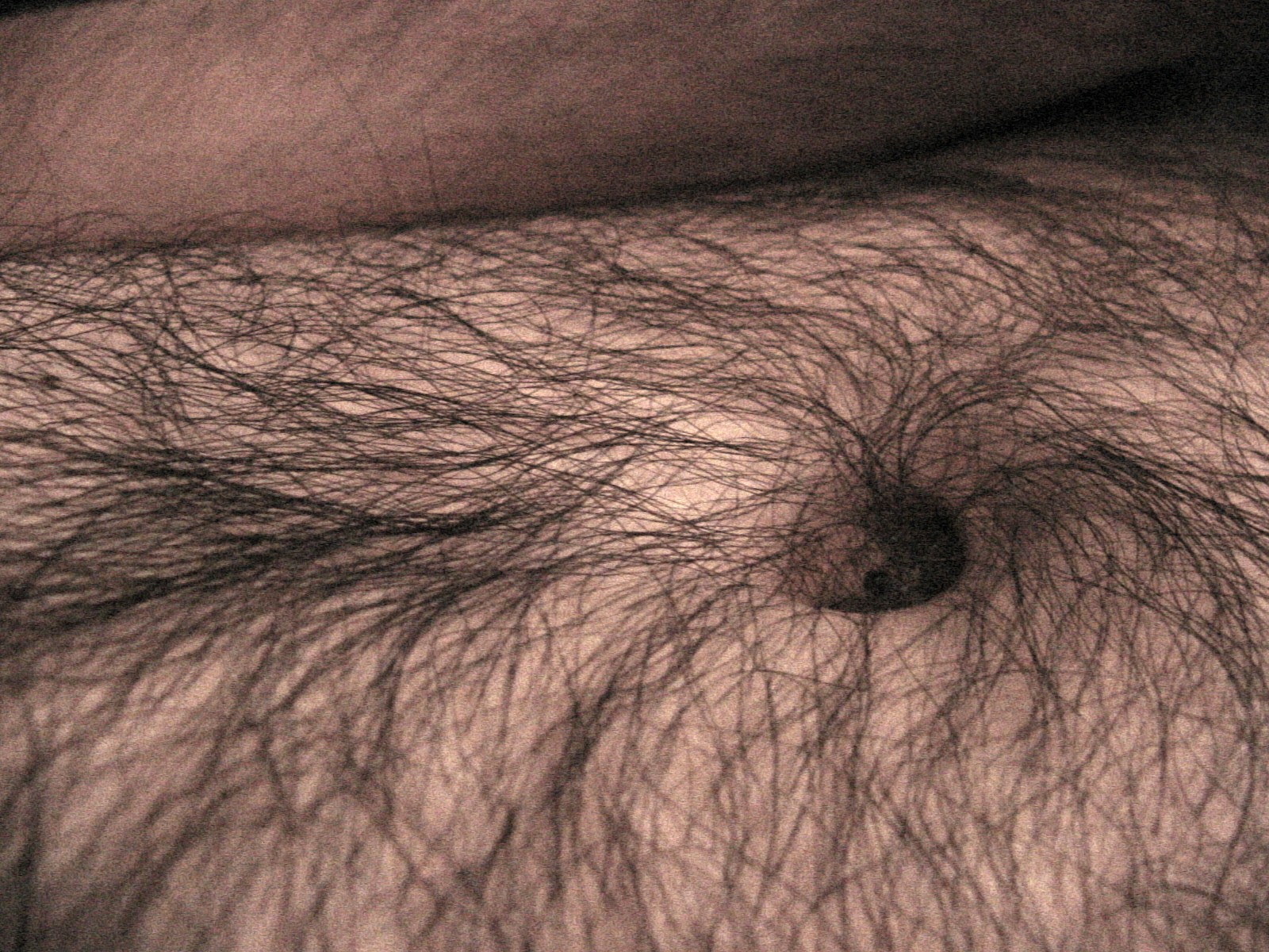 [skin-chest-hairy-male-human-adult-belly-button-2-DHD.jpg]
