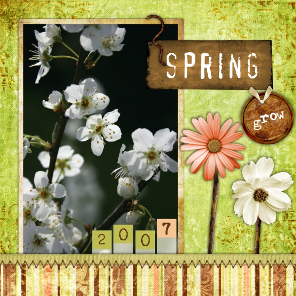 [Spring+(600+x+600).jpg]