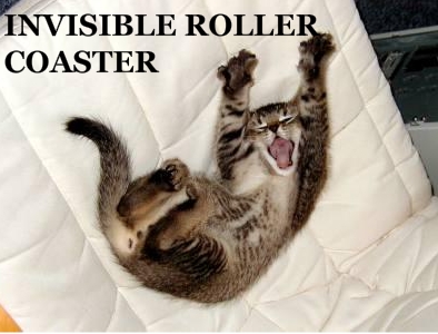[invisible-rollar-coaster.jpg]
