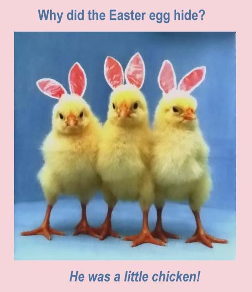[Easter+Chicks.jpg]