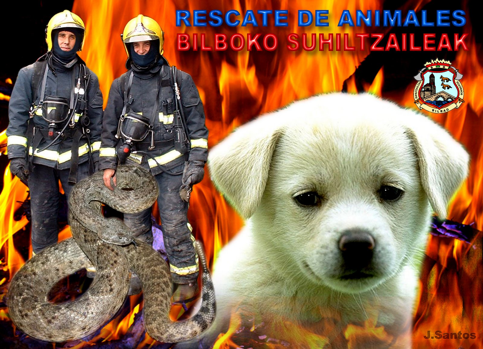[Rescate+de+Animales.jpg]