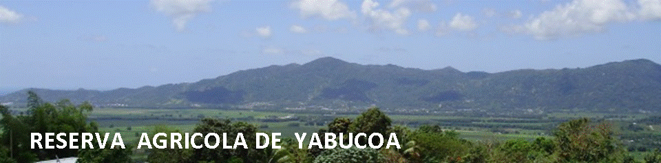 RESERVA AGRICOLA DE YABUCOA