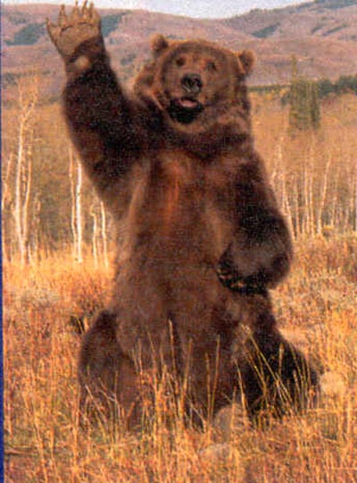 [grizzly.jpg]