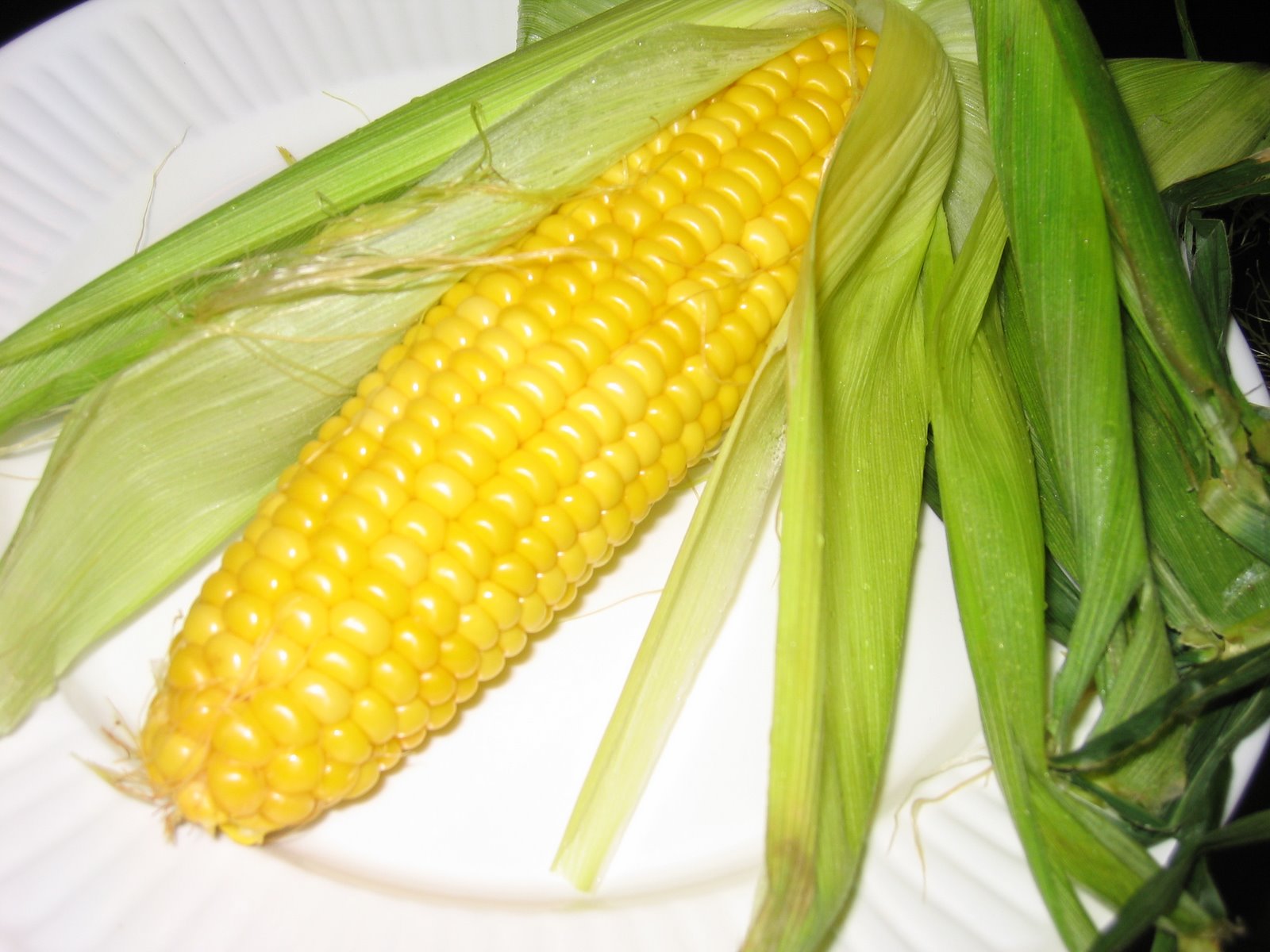 [Corn.jpg]