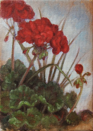 [Red-Geraniums-by-Levin.jpg]