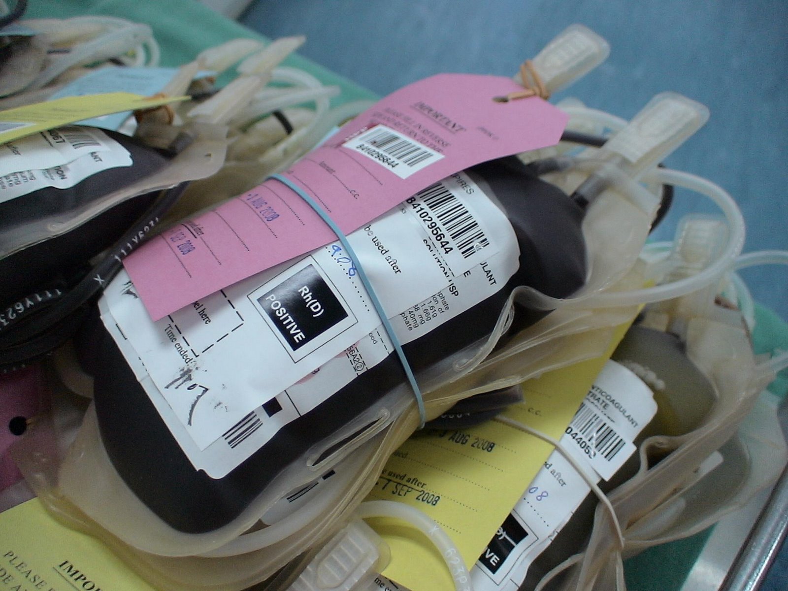 [Blood+Donation+(18).JPG]