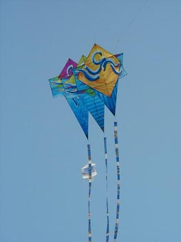 [jodhpur(kite+festival)+copy.jpg]