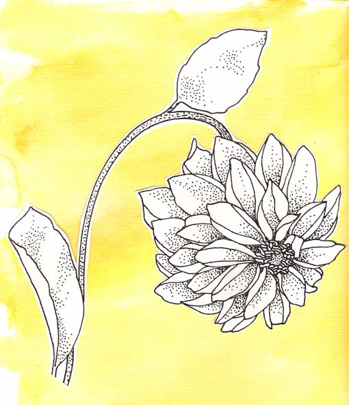 [yellow-flower1.jpg]